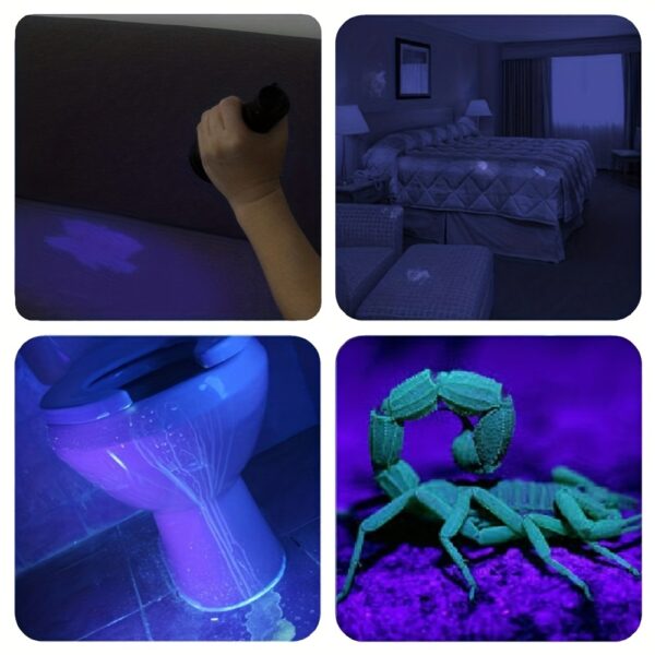 Mini Linterna LED UV 9 LEDs 395-400nm para Detección - Imagen 4