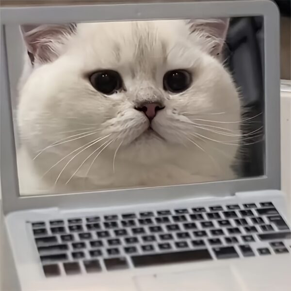 Mini laptop espejo para gatos juguete para gatos y perros catbook pro - Imagen 3