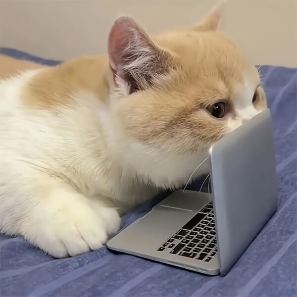 Mini laptop espejo para gatos juguete para gatos y perros catbook pro - Imagen 2